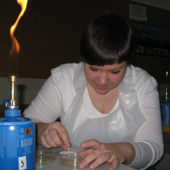 Prenašanje ustnih oblog na hranilni agar, marec 2011, foto Nejc Švent
