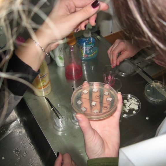 Pivniki z mili na odtisih rok, marec 2011, foto Nejc Švent
