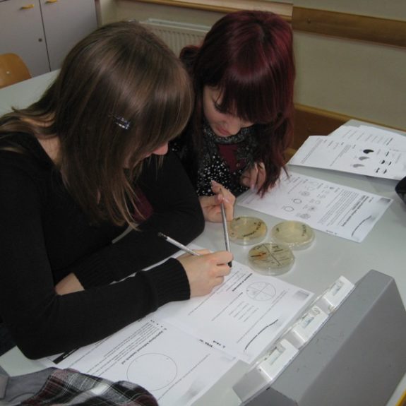 Analiza rezultatov in reševanje nalog, marec 2011, foto Nejc Švent
