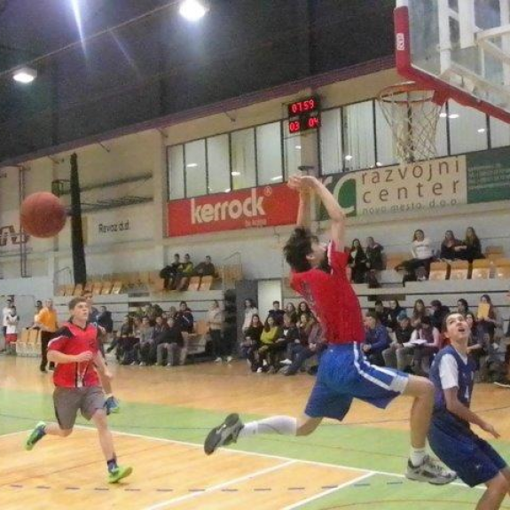 Gal v obrambi