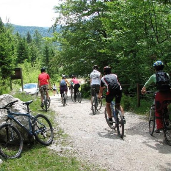Bohinj - Kologoni