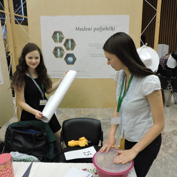 Č'Bela ureja stojnico, foto: Maja Gazvoda