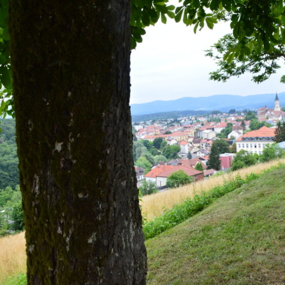 Pogled na Novo mesto