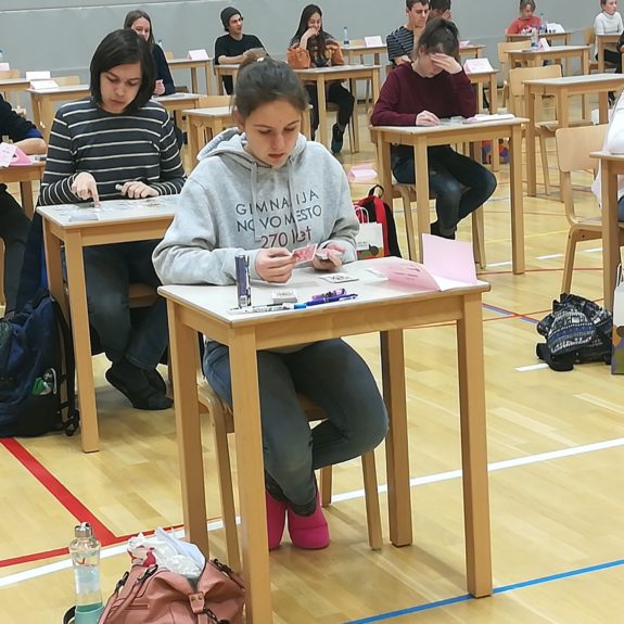 Anja na tekmovalnem prostoru pri disciplini  Karte,  foto: Branka Klemenčič