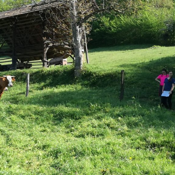 Poskusna MEPI odprava, foto: arhiv udeleženk