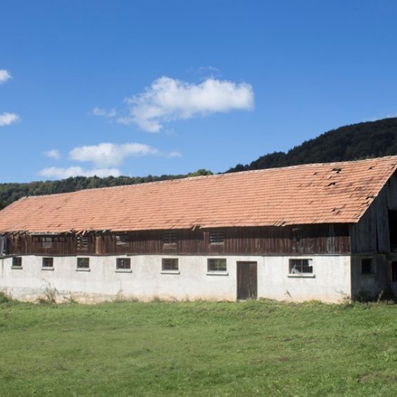Nacionalni projekt Dediščina v rokah mladih, foto: Nina Bukovec 