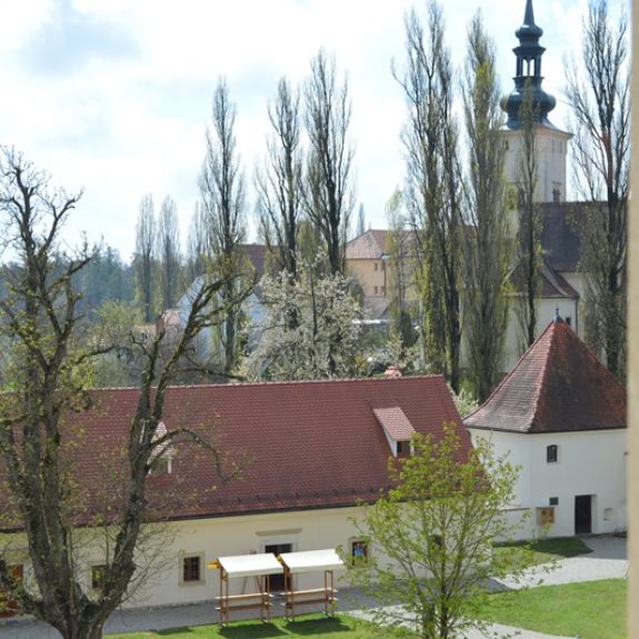 Ogled gradu Negova, foto: Filip Markovič 