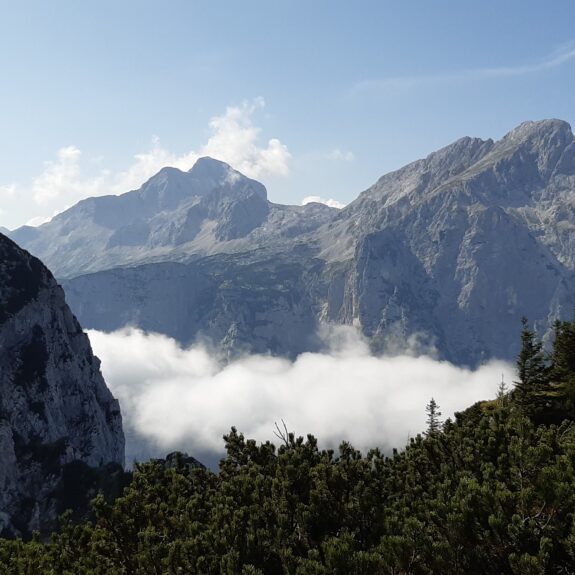 Triglav in Rjavina