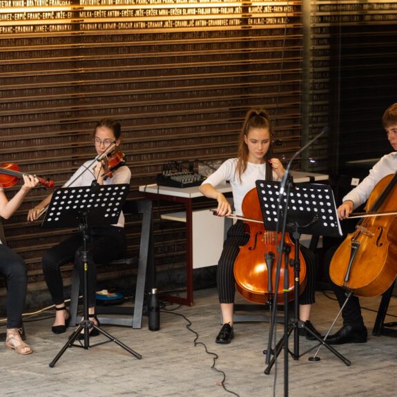 Godalni kvartet, foto: Boštjan Pucelj