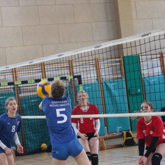 Sprejem, foto: Janja Bučar