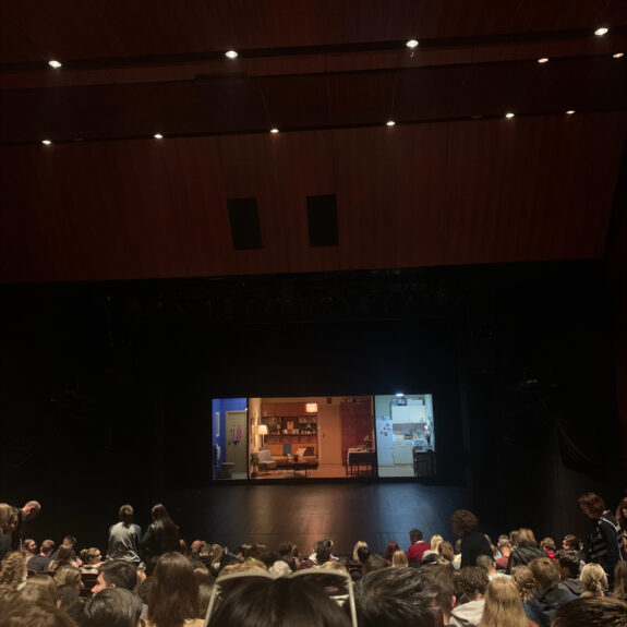 V gledališču, foto: Iza Zupančič