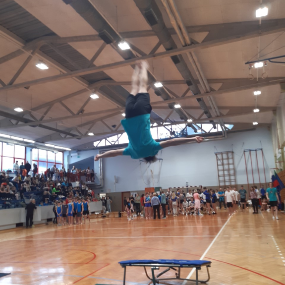 Stegnjena salta, foto: Ivan Maričič