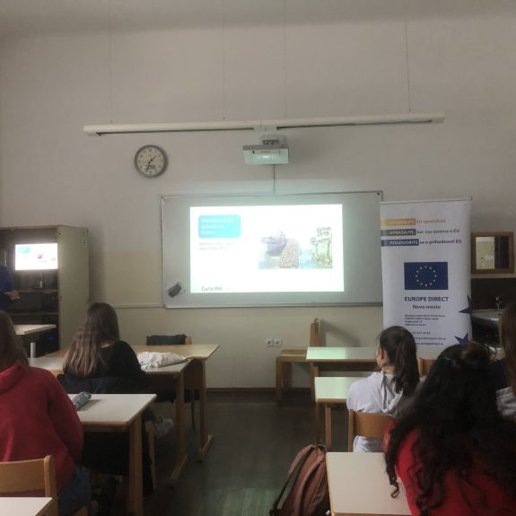 Delavnica z dr. Sonjo Merljak Zdovc, foto: Nina Arnuš