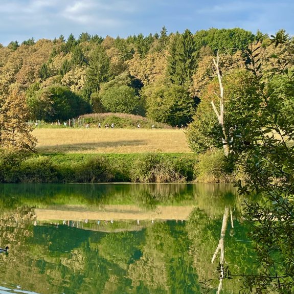 Pogled na tekače čez Krko, foto: Breda Vovko in Janja Bučar