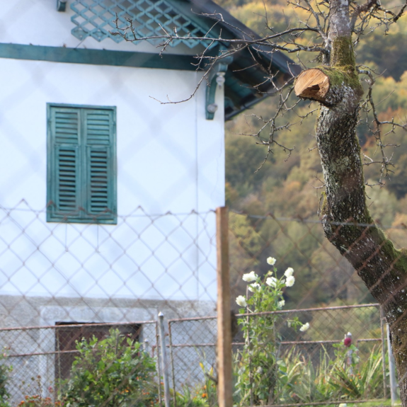 Fotografsko potepanje v Srednji vasi, foto: Maša Žnidaršič in Aleksandra Marentič
