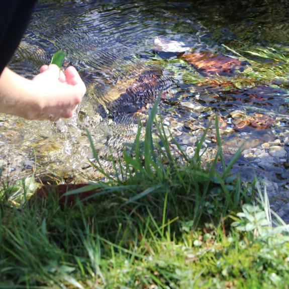 Fotografsko potepanje v Srednji vasi, foto: Maša Žnidaršič in Aleksandra Marentič