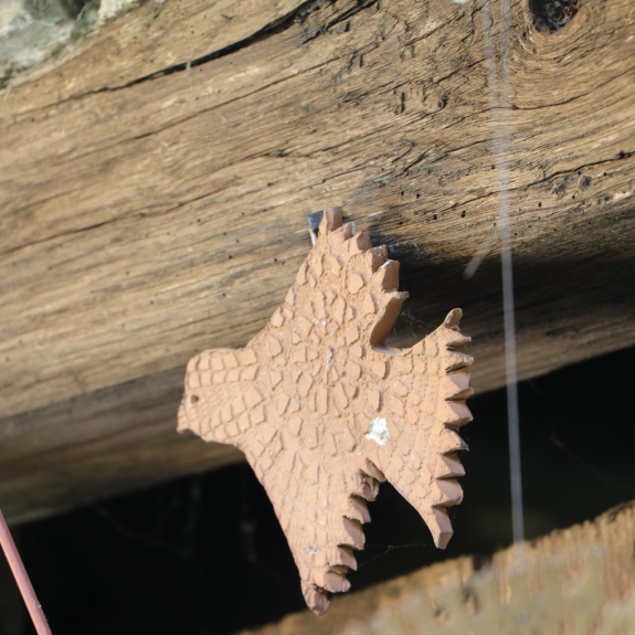 Fotografsko potepanje v Srednji vasi, foto: Maša Žnidaršič in Aleksandra Marentič