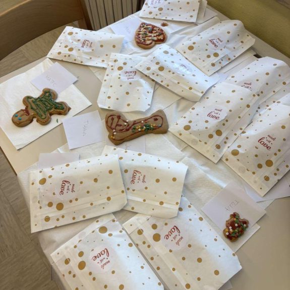 Piškoti, foto: Eva Hudoklin