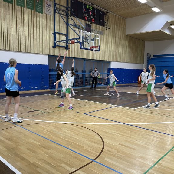 Četrtfinale DP v košarki za dijakinje, foto: Janja Oklešen