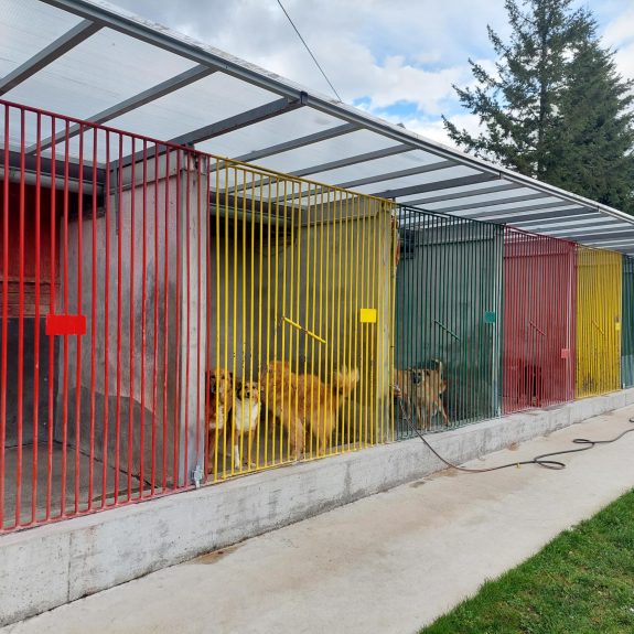 Zavetišče za živali na Zajčjem Vrhu, foto: Suzana Krvavica