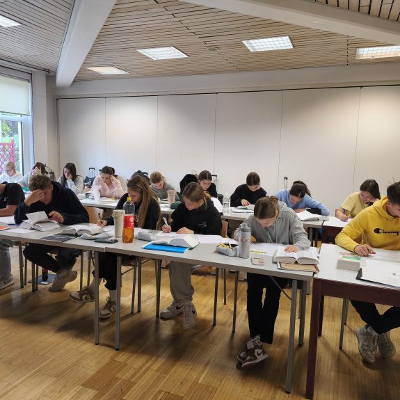 Tabor DSD v Celovcu, foto: Anja Hozner Vovko