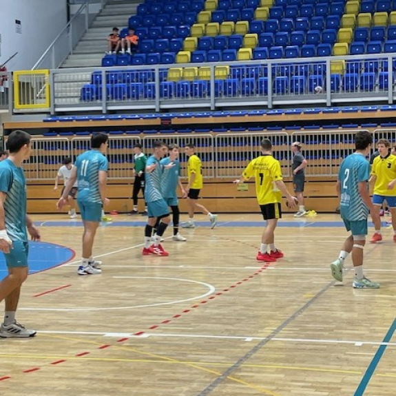 Regijsko tekmovanje v rokometu za dijake, foto: Breda Vovko