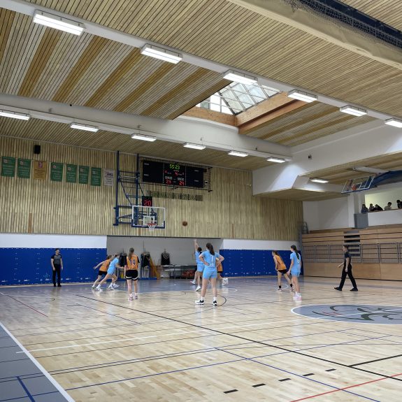 Četrtfinale v košarki za dijakinje, foto: Janja Oklešen