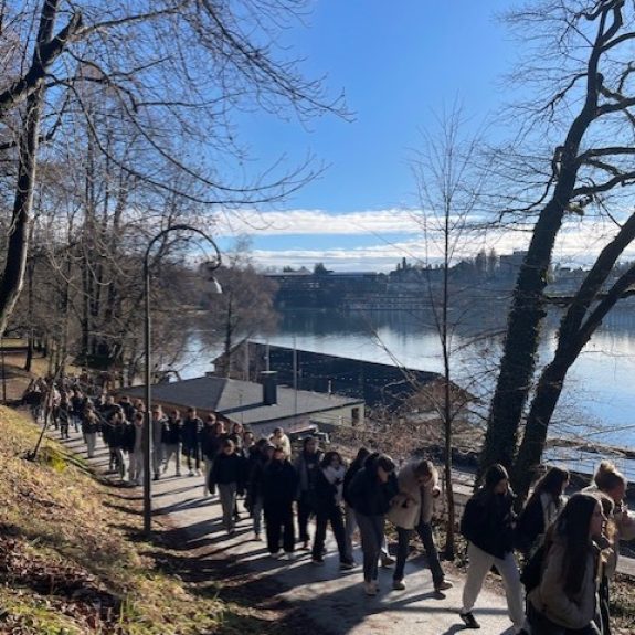 Sonce na Bledu, foto: Breda Vovko