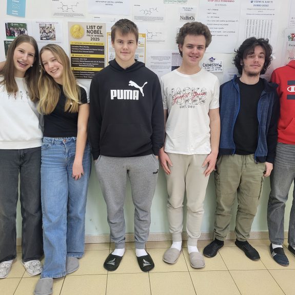 Dobitniki srebrnih in bronastih priznanj (iz leve proti desni: Manca, Špela, Mark, Matej, Žiga, Jurij), foto: Branka Klemenčič