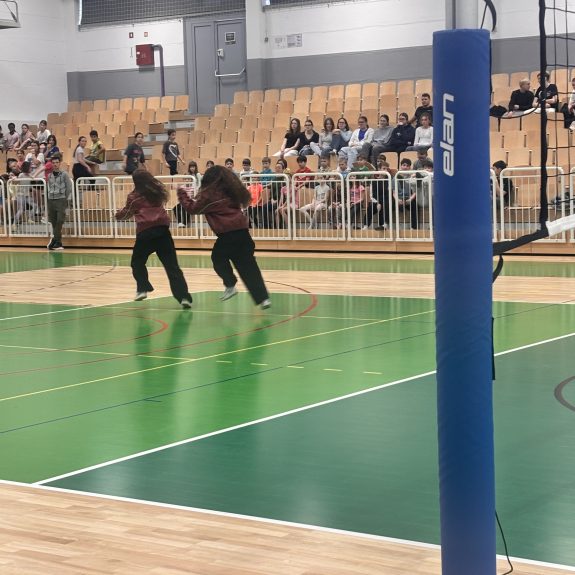 Odbojkarice GimNm, foto: Janja Oklešen