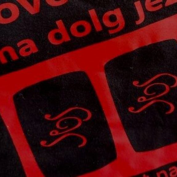 vir slike: arhiv Zveze slovenskih slavističnih društev