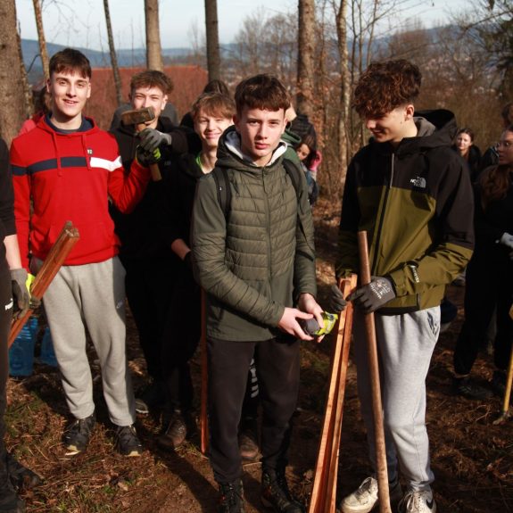 280 dreves za 280 let Gimnazije Novo mesto, foto: Rosana Špelić