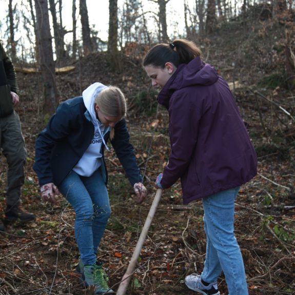 280 dreves za 280 let Gimnazije Novo mesto, foto: Rosana Špelić