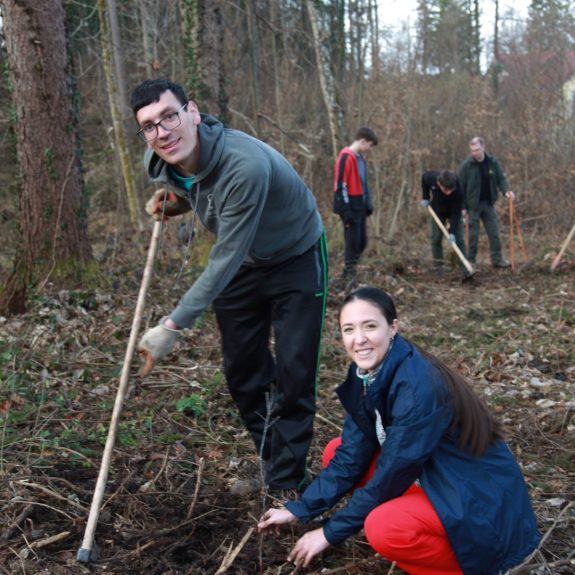 280 dreves za 280 let Gimnazije Novo mesto, foto: Rosana Špelić