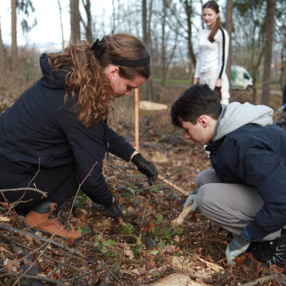 280 dreves za 280 let Gimnazije Novo mesto, foto: Rosana Špelić