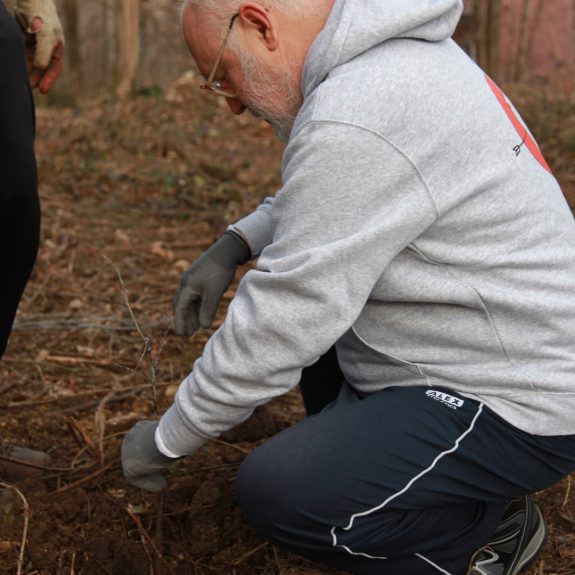 280 dreves za 280 let Gimnazije Novo mesto, foto: Rosana Špelić