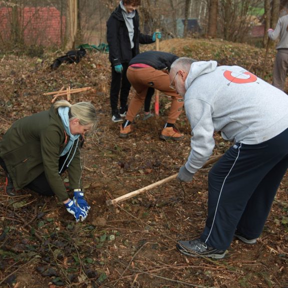 280 dreves za 280 let Gimnazije Novo mesto, foto: Rosana Špelić