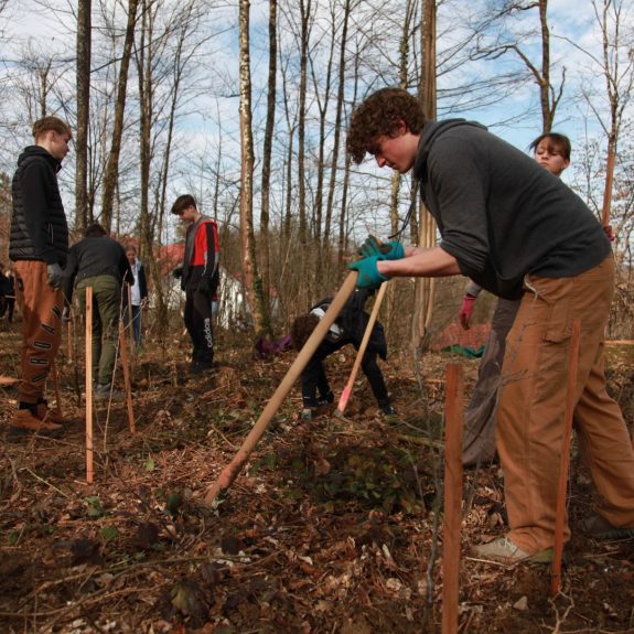 280 dreves za 280 let Gimnazije Novo mesto, foto: Rosana Špelić