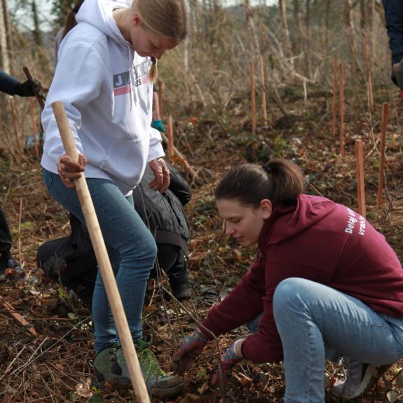 280 dreves za 280 let Gimnazije Novo mesto, foto: Rosana Špelić