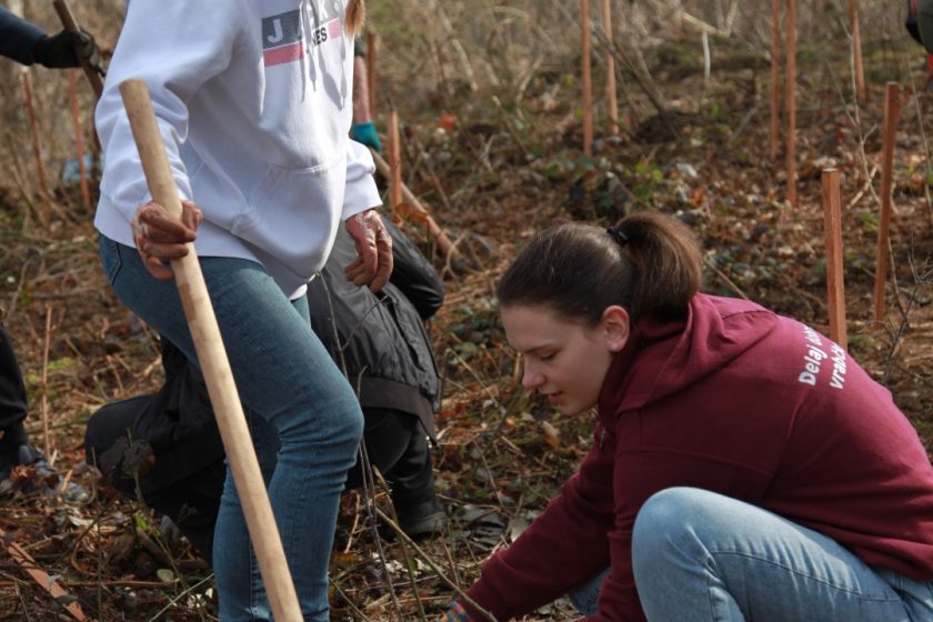280 dreves za 280 let Gimnazije Novo mesto