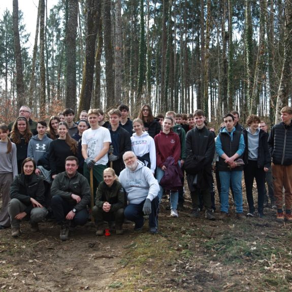 280 dreves za 280 let Gimnazije Novo mesto, foto: Rosana Špelić