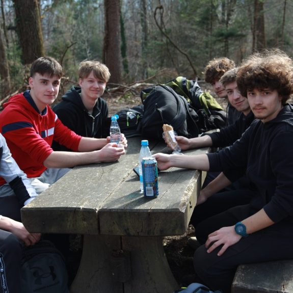 280 dreves za 280 let Gimnazije Novo mesto, foto: Rosana Špelić