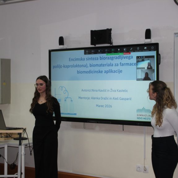 Nina in Živa med predstavitvijo, foto: Tara Bajuk