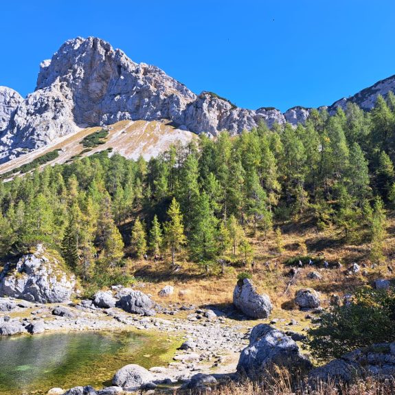 Planinska tura za 2b in 2d, foto: Alenka Dražić