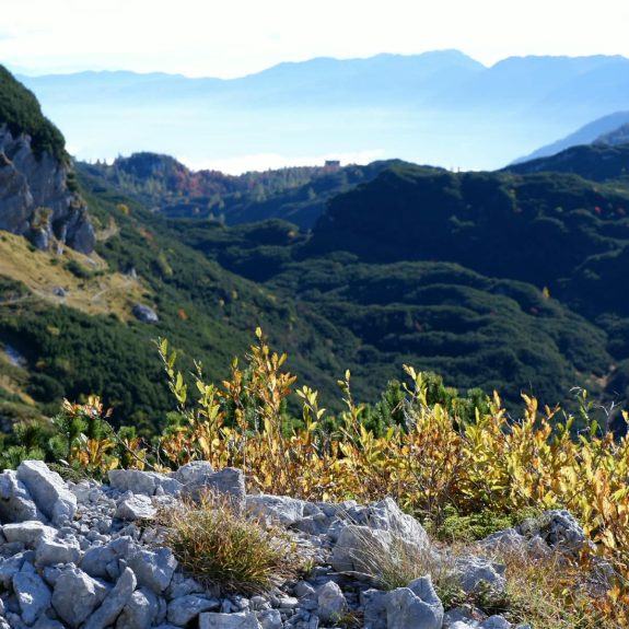 Pogled proti koči na Komni, foto: Miha Kosec