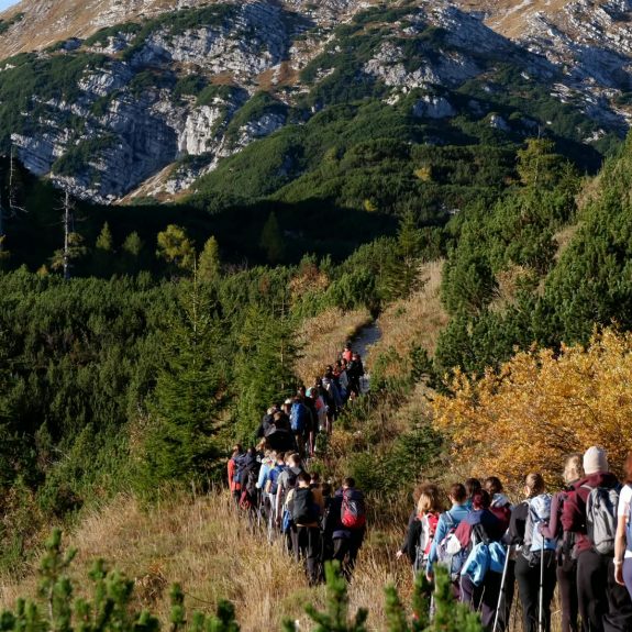 Med jesenskimi krošnjami dreves, foto: Miha Kosec