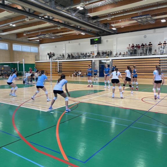 Področno tekmovanje v odbojki za dijakinje, foto: Janja Oklešen