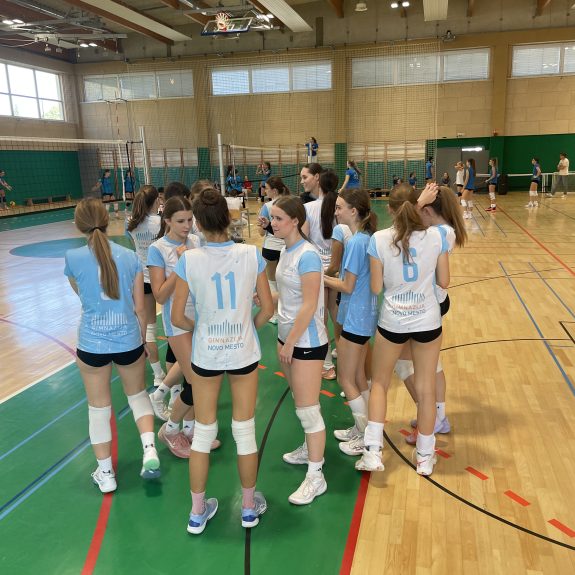 Področno tekmovanje v odbojki za dijakinje, foto: Janja Oklešen