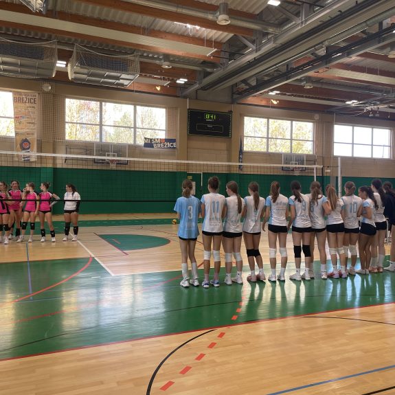 Področno tekmovanje v odbojki za dijakinje, foto: Janja Oklešen