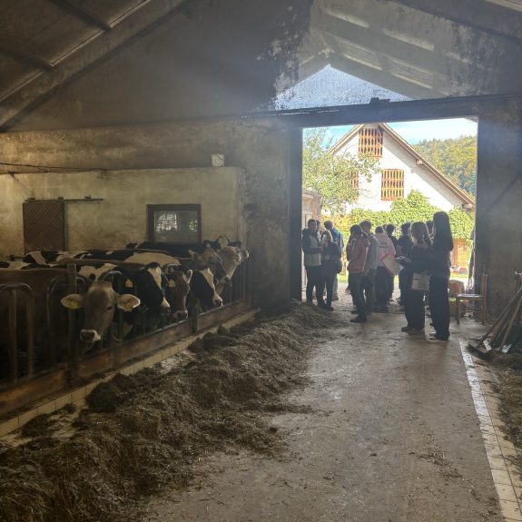 Geografska ekskurzija, foto: Iza Majcen in Lucija Smolič